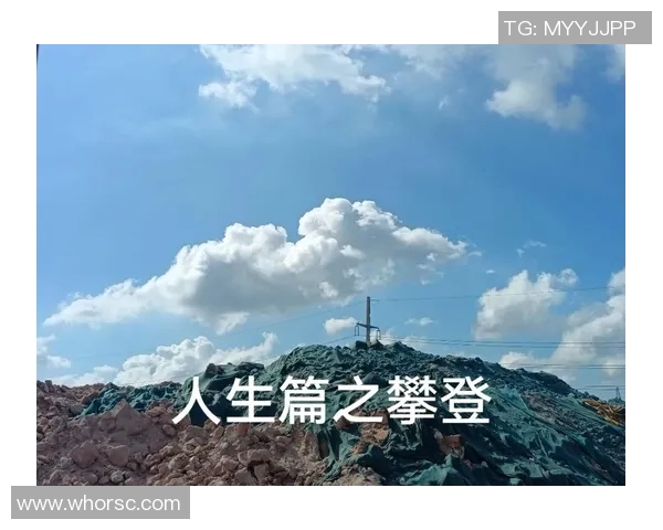 攀登人生的高度与深度王敏的攀岩故事与心路历程