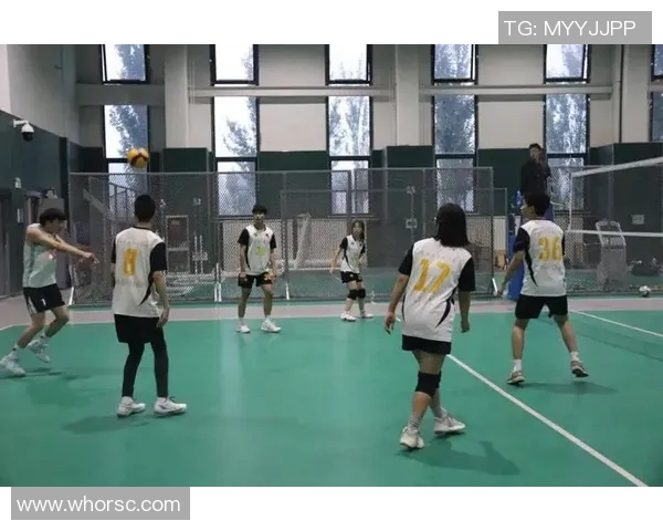 杭州排球队的团队协作精神与排球竞技的完美结合探讨