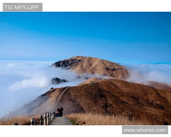 攀岩人生的高峰与低谷黄强分享他的攀岩旅程与心路历程