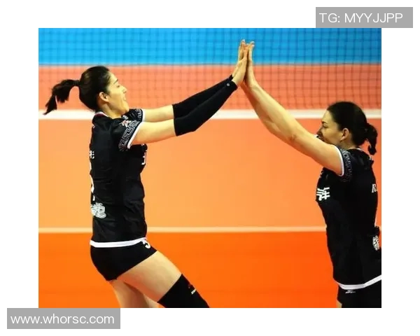 深入分析北京网球队区域防守战术的特点与应用策略