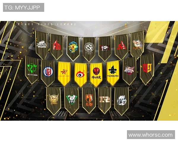 热议和平精英BLG战队如何通过力量变革引领电竞新潮流