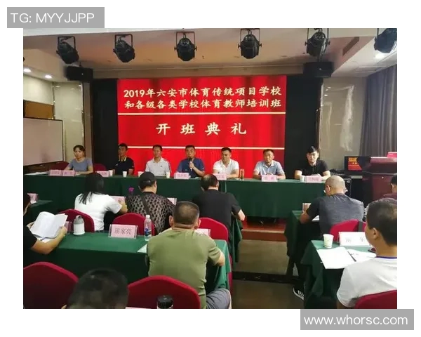 深圳排球队的整体压制革新探索与未来发展路径分析