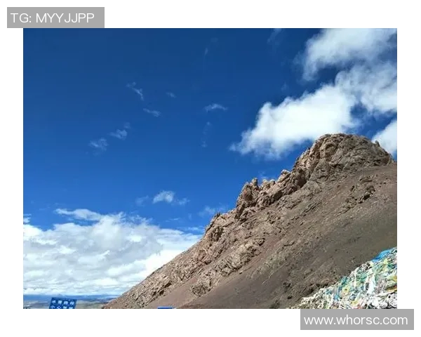 深圳街舞队心理素质探讨：舞动自信与团队协作的心灵之旅