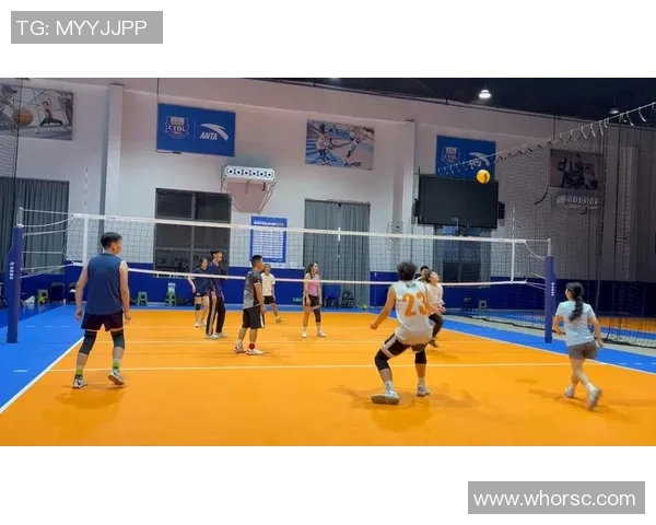 重庆排球队速度表现深度分析与数据解读探索