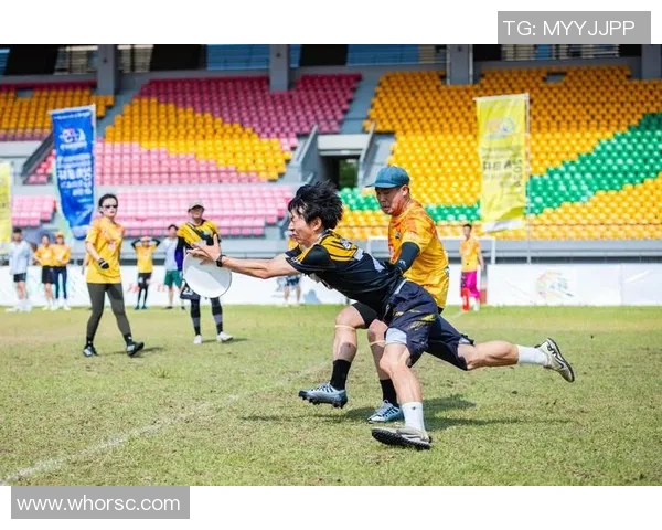 飞盘战术揭秘：南京飞盘队如何运用包夹战术提升比赛胜率