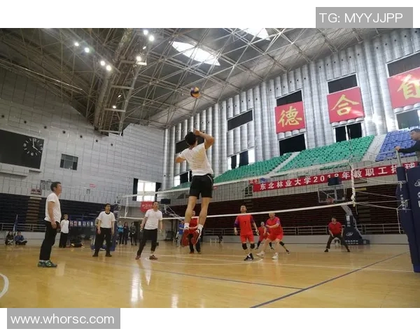 南京排球队的战术创新与运营体系探析及其对竞技水平的提升 南京排球队的战术创新与运营体系探析及其对竞技水平的提升