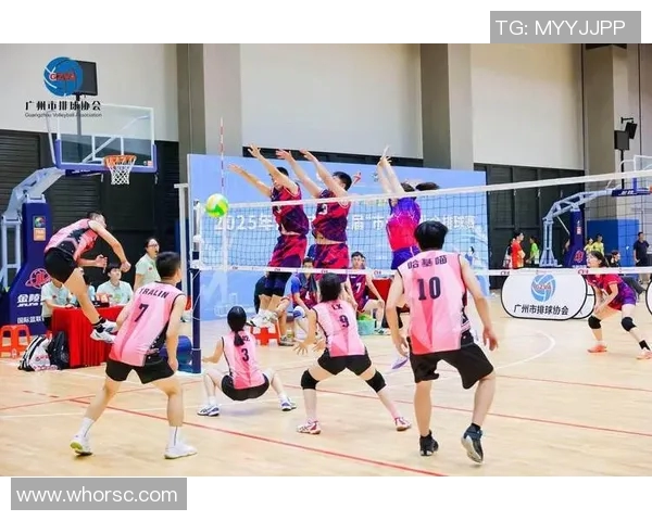 广州排球队状态分析与未来展望聚焦排球赛事中的表现与挑战