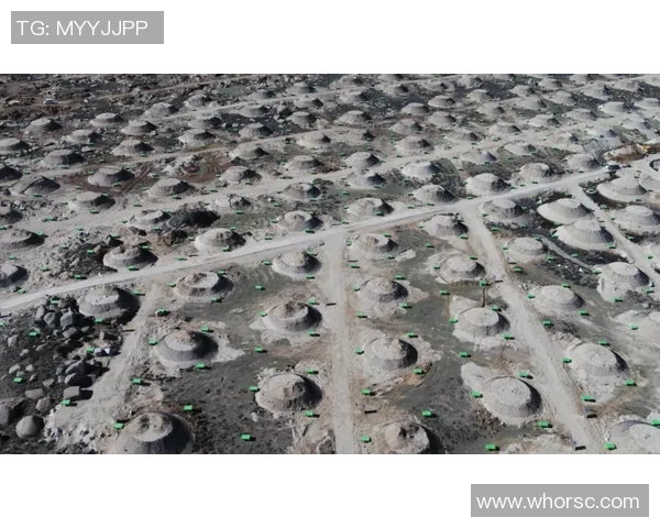 广州乒乓球队速度对比深度解析与战术探讨