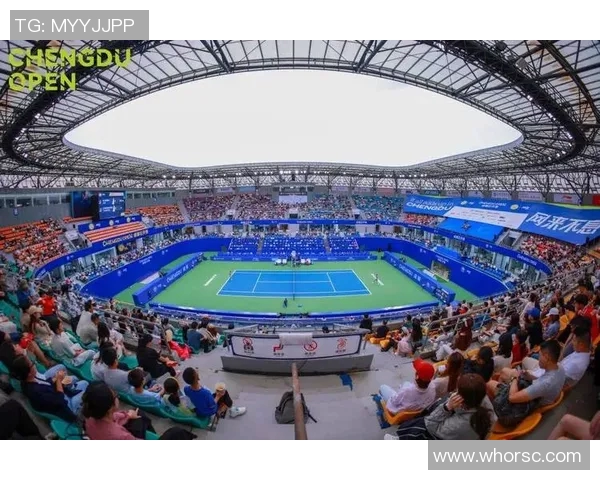 成都网球队的崛起与挑战揭秘网球巨献背后的故事与未来展望