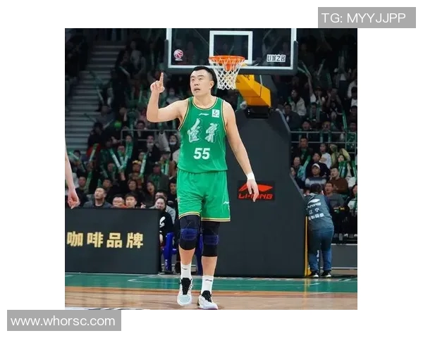 韩德君的篮球人生：从青涩少年到CBA传奇的辉煌历程与心路历程