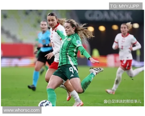 北爱尔兰与波黑激战正酣足球友谊赛精彩回顾与分析