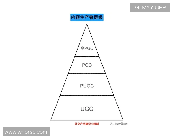 百万富翁与独立分析的深度对比与启示探讨