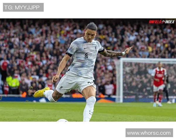 努涅斯在赛场上的崛起与挑战分析及未来发展展望