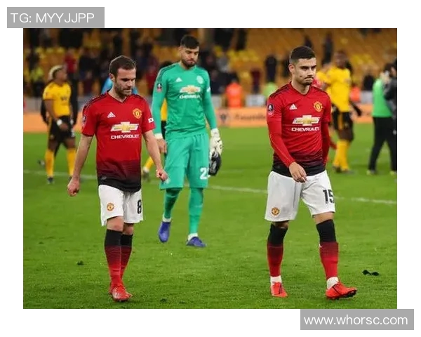 小牛与国王激战15至16赛季精彩回顾与赛季亮点分析