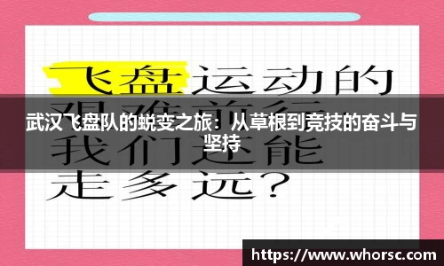 好博体育